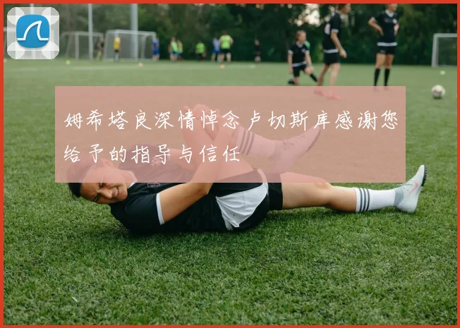 姆希塔良深情悼念卢切斯库感谢您给予的指导与信任