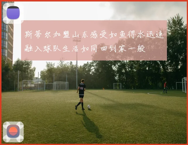 斯蒂尔加盟山东感受如鱼得水迅速融入球队生活如同回到家一般
